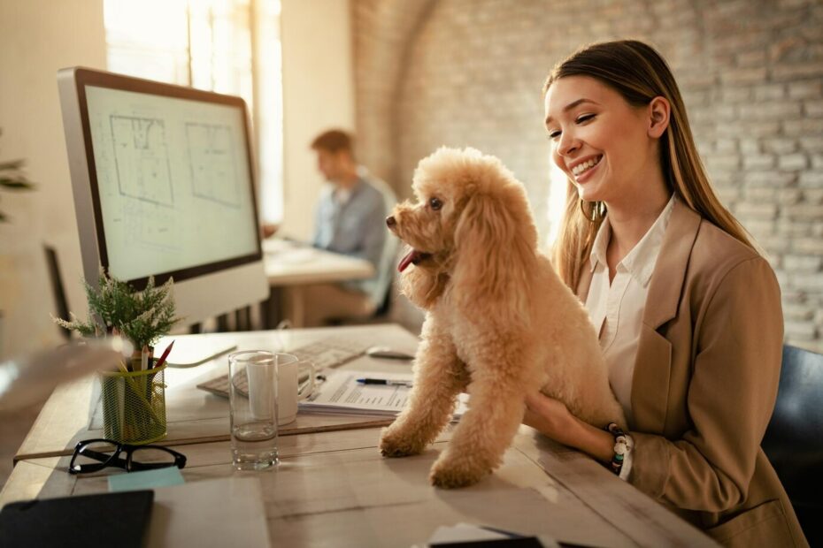 6 tips for å lykkes når du tar med kjæledyret ditt på jobb